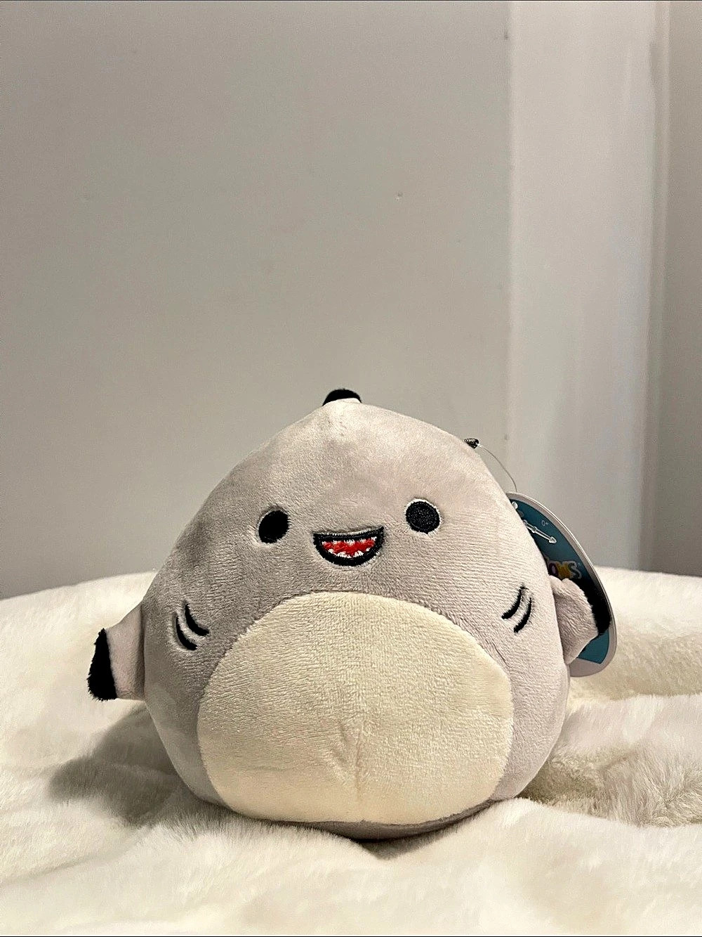 Squishmallows Gordon the Shark 5”